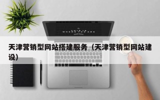 丽水天津营销型网站搭建服务（天津营销型网站建设）