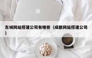 丽水东城网站搭建公司有哪些（成都网站搭建公司）
